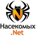 nasekomyh-net